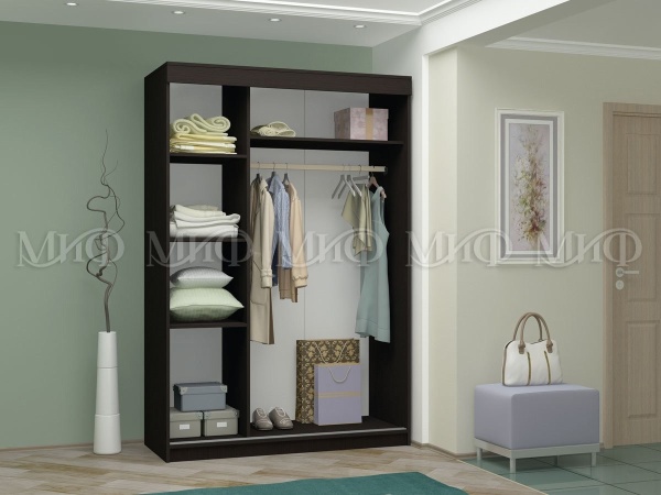 Шкаф-Купе Люмьер-2 с Рисунком (Ш-1500 × В-2216 × Г-610 мм)/Разные Цвета